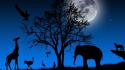 Silhouette snakes elephants ostrich giraffes night sky wallpaper