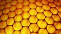 Windows 8 honeycomb bees wallpaper
