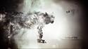 Dark evolution artwork speedart wolves wallpaper