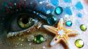 Eyes beach mermaid starfish wallpaper