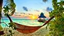 Hammock palm trees branches rays exotic bungalow wallpaper