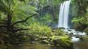 Jungle forest waterfalls rivers wallpaper