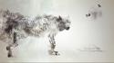 Light evolution artwork speedart wolves wallpaper