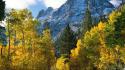 Mountains autumn (season) forest california june wallpaper