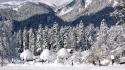 Mountains winter snow trees forest wallpaper