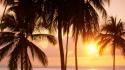 Sunset nature coast palm trees tanzania wallpaper