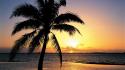 Sunset nature tropical palm trees wallpaper