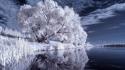 Water winter trees infrared photography wallpaper