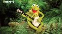 Green frogs kermit the frog banjo jim henson wallpaper