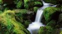 Landscapes forest national moss oregon waterfalls creek wallpaper