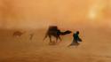 Nature sand animals desert india camels wallpaper
