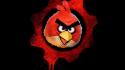 Red birds angry wallpaper