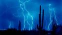 Lightning And Cactus wallpaper