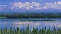 Alaska willow national park mount wallpaper