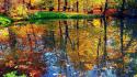 Water autumn (season) forest wallpaper