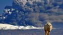 Animals volcanoes national geographic horses iceland eruption wallpaper