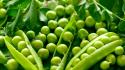 Green vegetables peas wallpaper