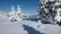 Landscapes winter snow trees snowy mountains wallpaper