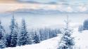 Landscapes winter snow trees wallpaper