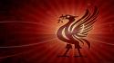 Liverpool fc lfc liverbird wallpaper