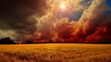 Sunset clouds nature trees fields meadows skyscapes suns wallpaper