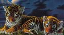 Clouds animals tigers cubs artwork 3d skyscapes wallpaper