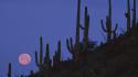Landscapes arizona national monument full moon wallpaper