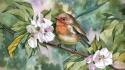 Paintings nature flowers birds leaves artwork watercolor robins wallpaper