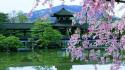 Water japan cherry blossoms flowers asian architecture bushes wallpaper