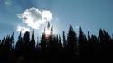Blue clouds nature sun black trees outdoors skies wallpaper