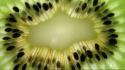 Fruits kiwi macro wallpaper