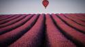 Landscapes air balloons wallpaper