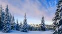 Mountains landscapes nature winter snow trees wallpaper