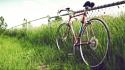 Nature bicycles grass wallpaper