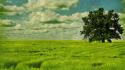 Clouds nature trees fields wallpaper