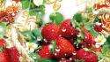 Fruits food strawberries wallpaper