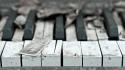 Piano keyboards instruments keys wallpaper