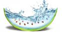 Water minimalistic fruits funny watermelons seeds skin creativity wallpaper