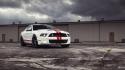 Cars ford mustang shelby gt500 supersnake wallpaper