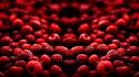 Close-up fruits raspberries wallpaper