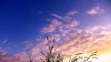 Clouds nature grass skyscapes skies wallpaper