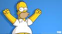 Homer simpson the simpsons wallpaper