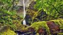 Landscapes nature moss oregon waterfalls columbia wallpaper