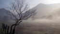 Mountains landscapes nature fog morning tree trunk protection wallpaper