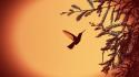 Nature leaves silhouette monochrome hummingbirds wallpaper