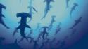 Animals sharks hammerhead shark underwater sea wallpaper