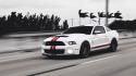 Cars ford monochrome mustang races wallpaper
