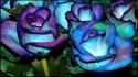 Video games blue roses wallpaper