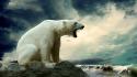 Animals paint polar bears wallpaper