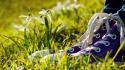Grass shoes objects white flowers wallpaper
